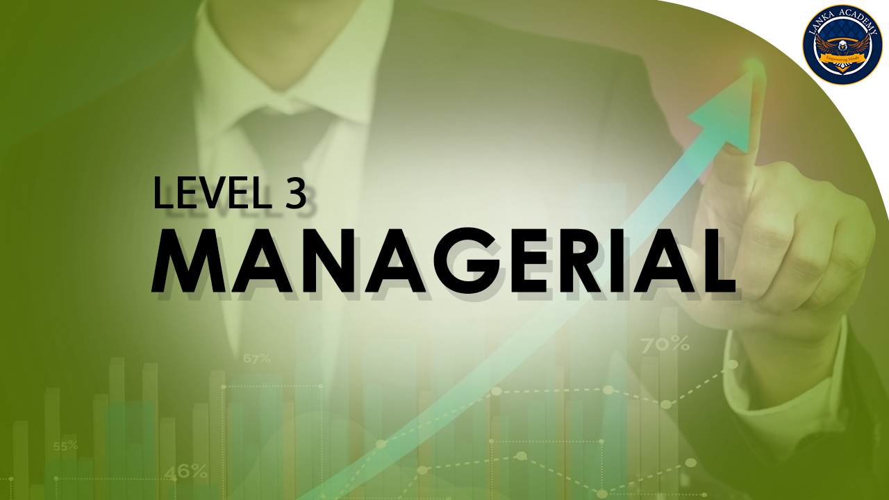 Level 3 - Managerial