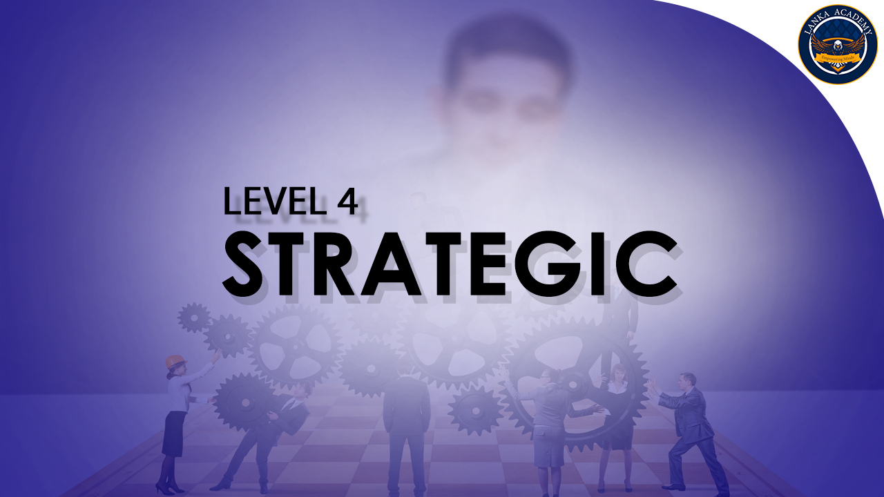 Level 4 - Strategic