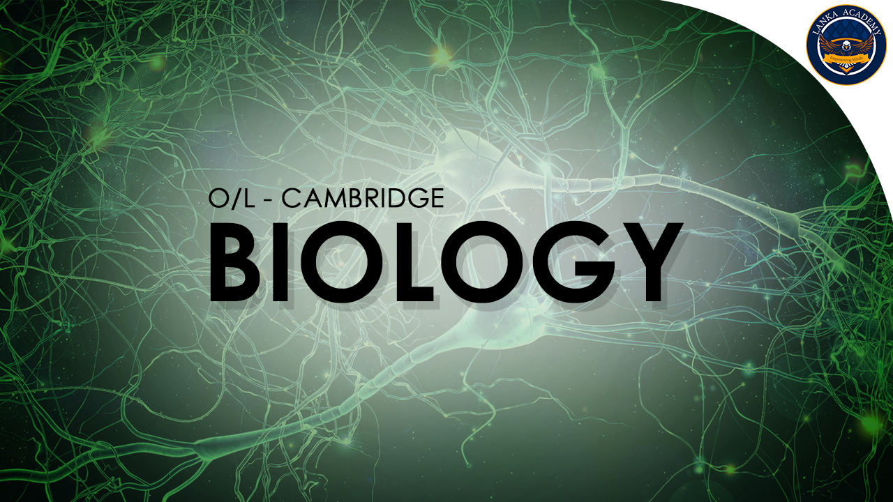 Cambridge O Level Biology (5090)